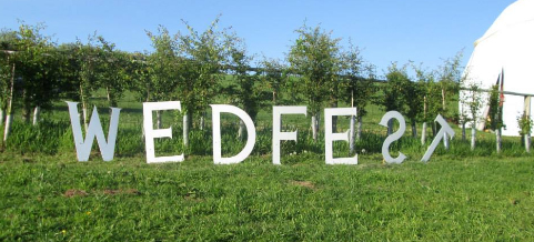 Wedfest festival wedding