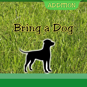 Bring a Dog Addition June 2025