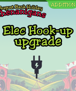 Shenanigans Electricity
